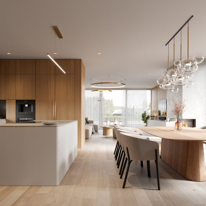 Villa Interior with Views over Písek_Hradiště