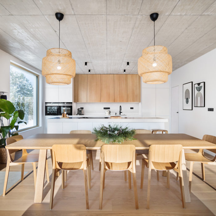 Villa interior_Vestec